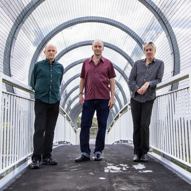 THE NECKS