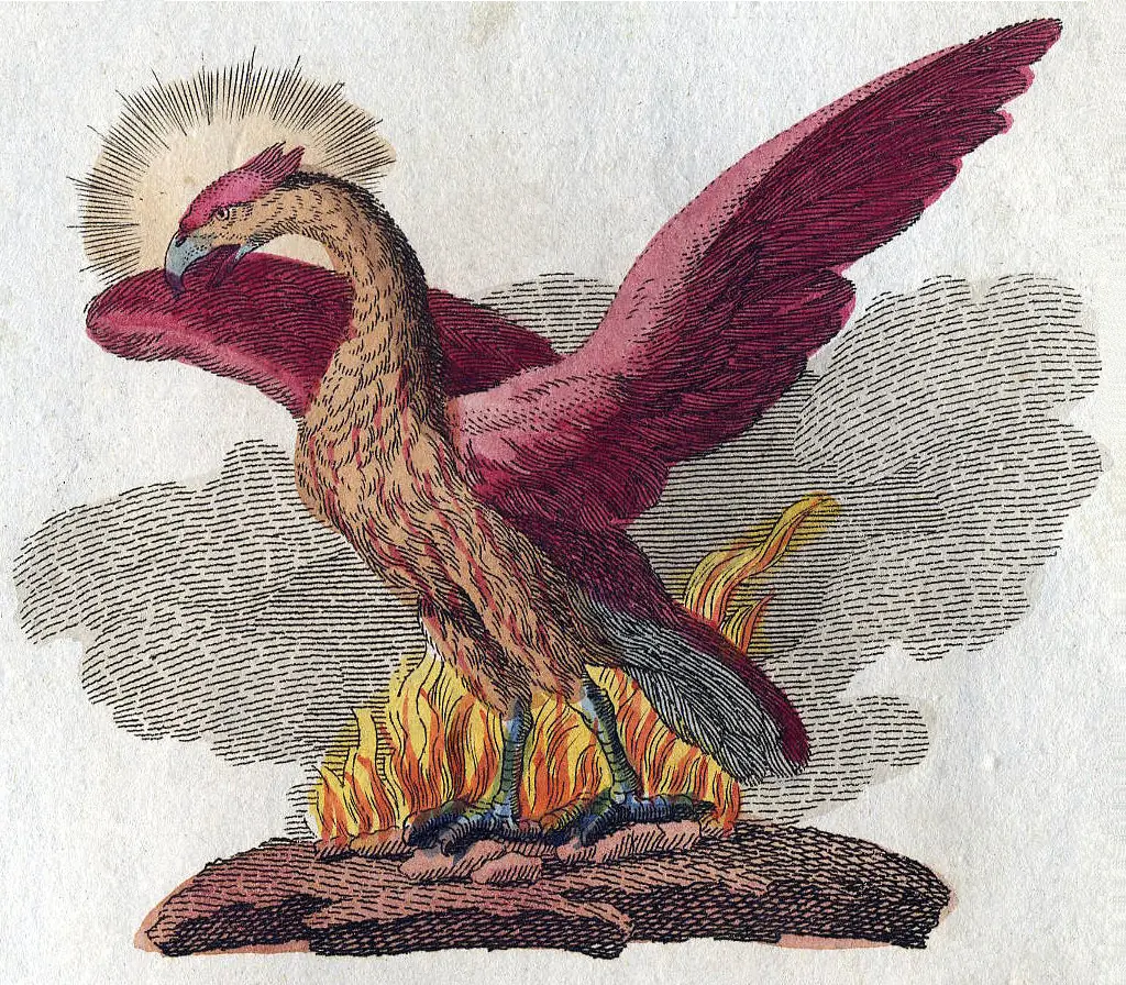 FÉNIX