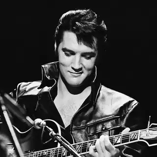 Elvis Presley In Concert