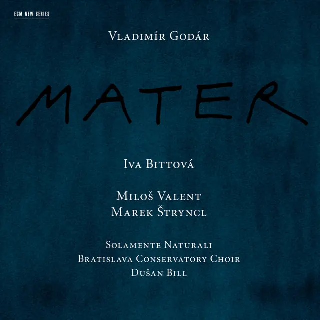 Marek Stryncl