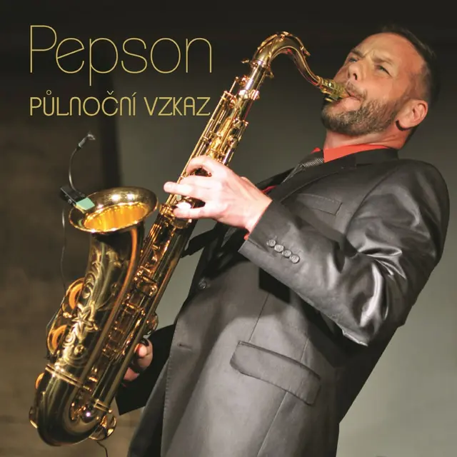 Josef Pepson Snětivý — VinVin vinný bar, Prague