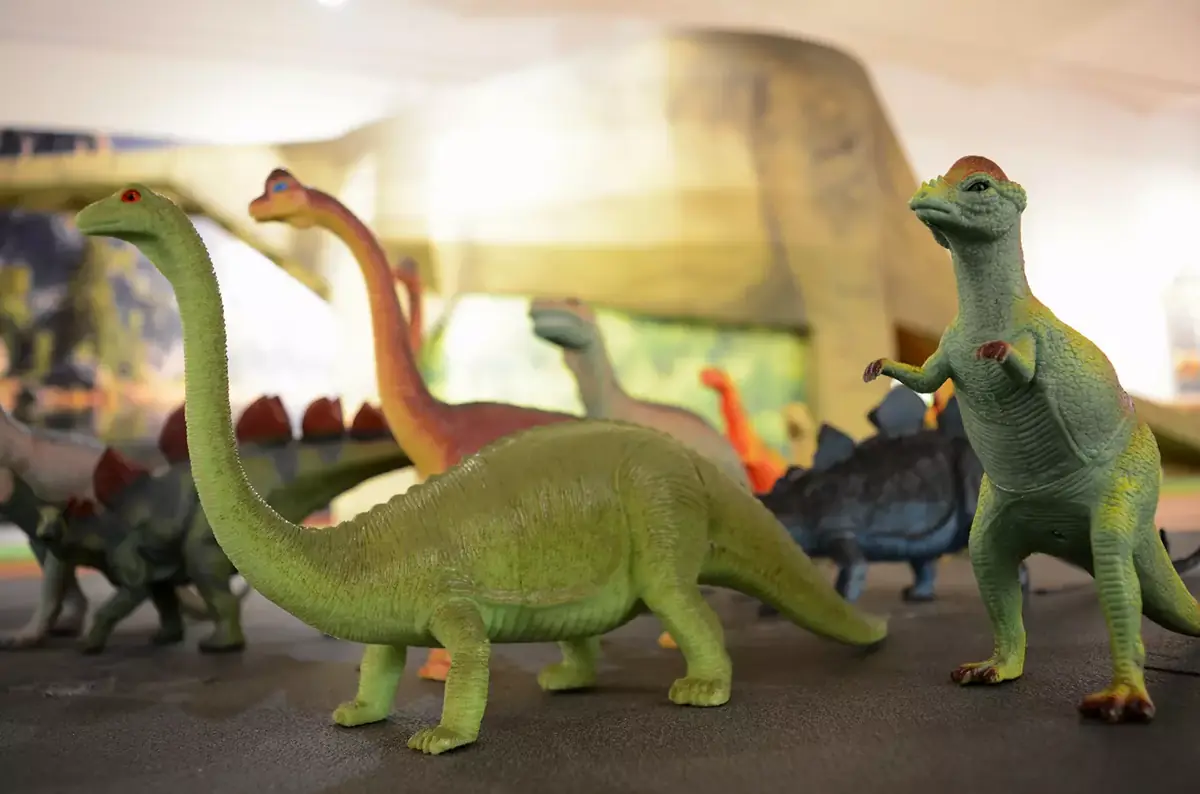Подорож на мільйони років назад — Muzeum Zábřeh, Забржег