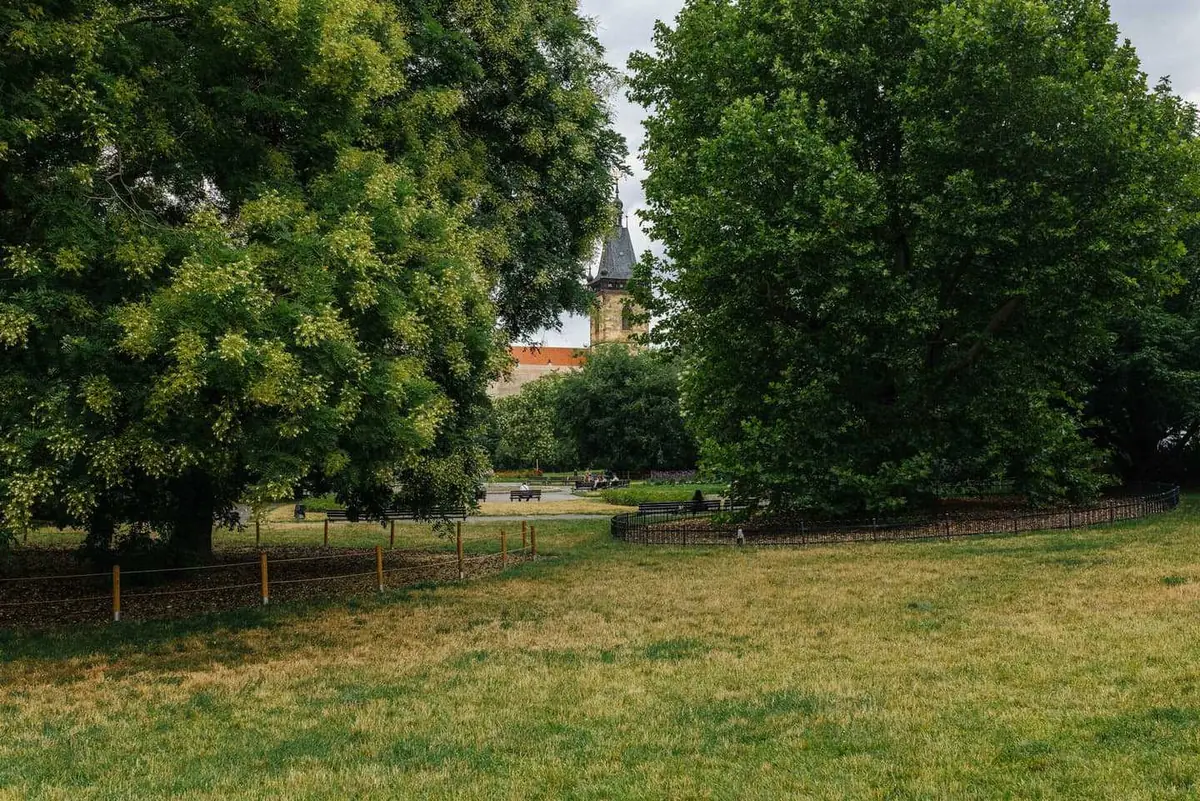 CAMP Tour: Karlovo náměstí — Karlovo náměstí, Praha