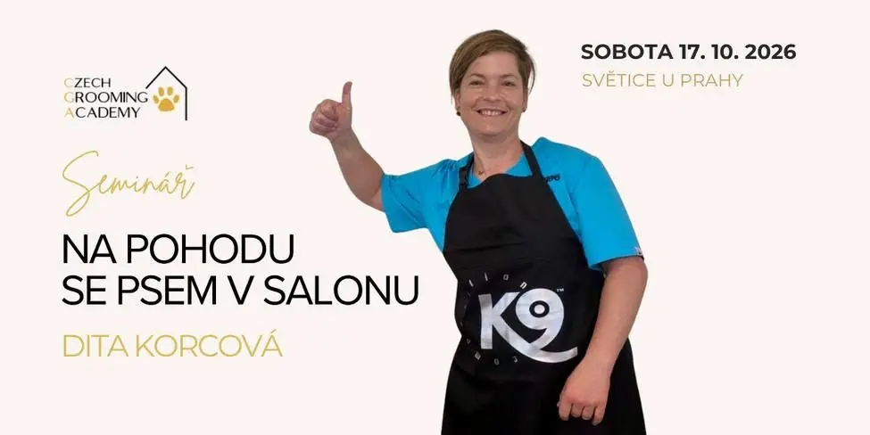 NA POHODU SE PSEM V SALONU s Ditou Korcovou — Praha