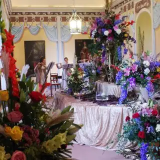 Roses for the Countess