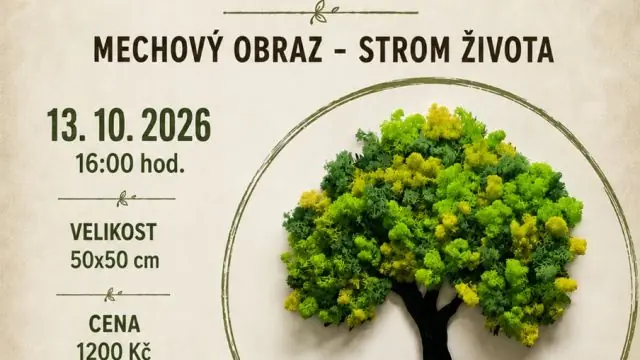 Kreativní workshop - Mechový obraz — Areál Srudénka, Studénka