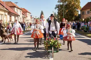 Bzenec Costumed Wine Harvest Festival 2026
