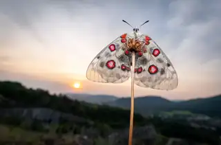 Finissage der Ausstellung Czech Nature Photo