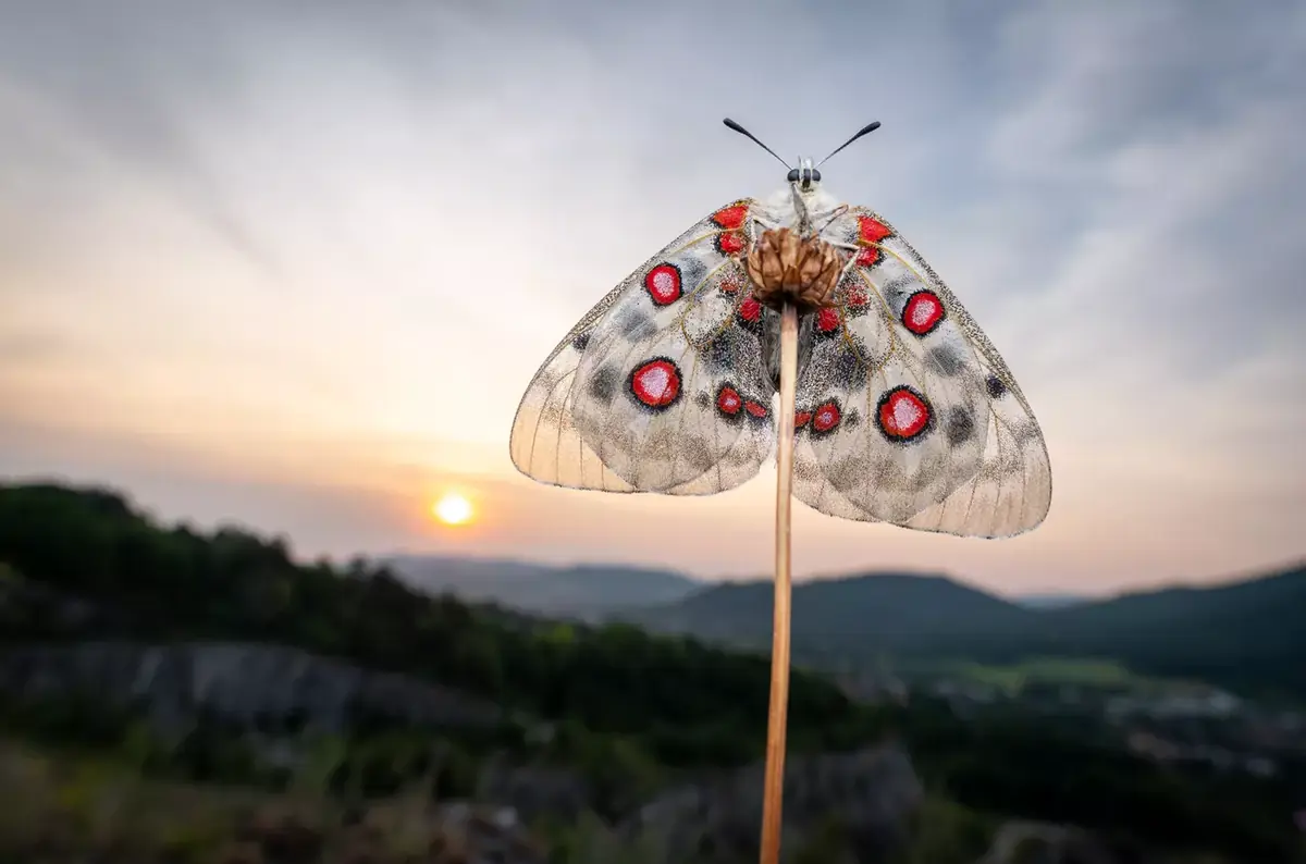 Фініш виставки Czech Nature Photo — Studijní a vědecká knihovna v Hradci Králové, Градець-Кралове