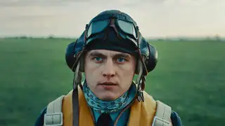 Osamělý vlk