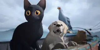 Cat's Odyssey