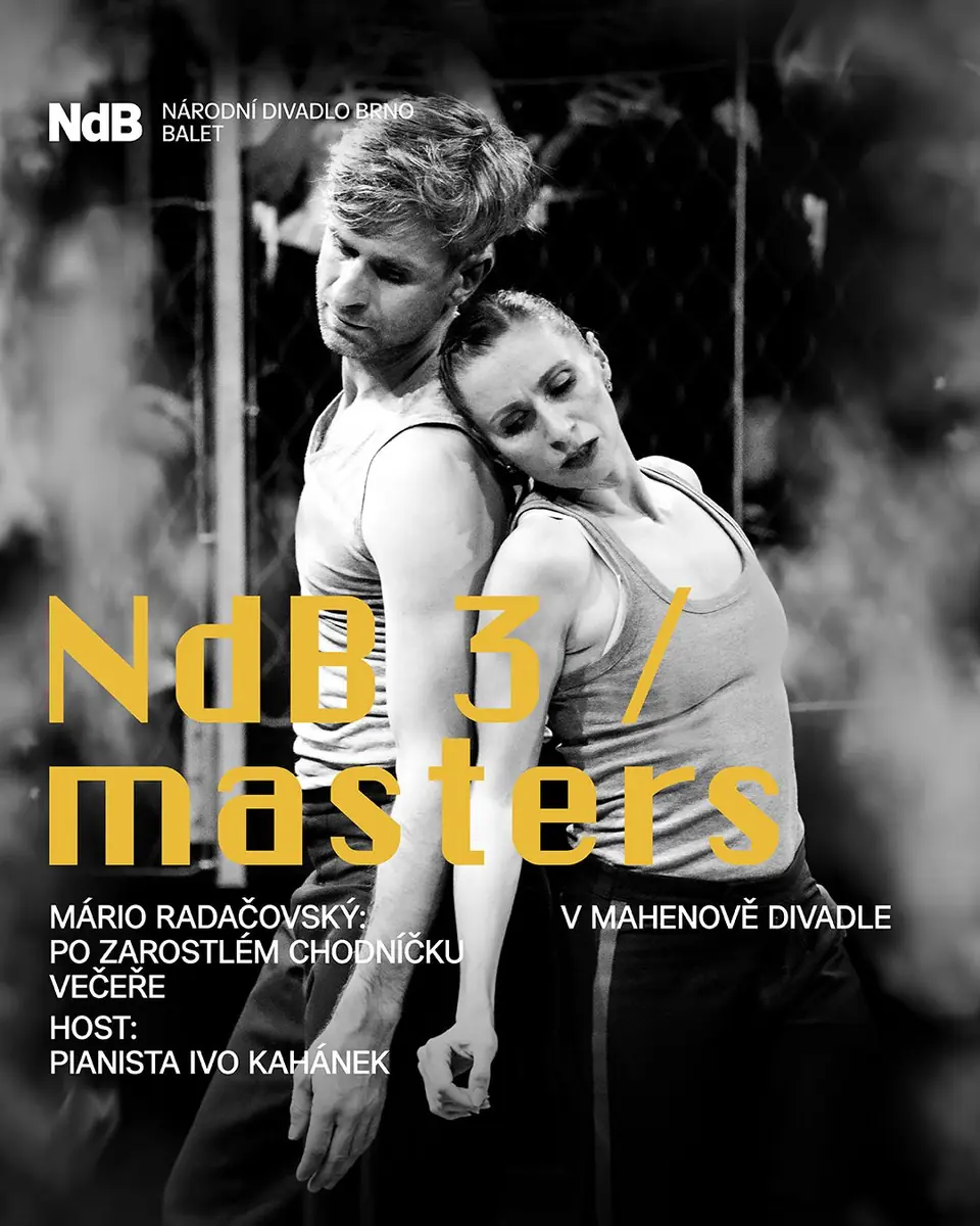NdB 3 / Masters: Along the Overgrown Path, Dinner — Brno