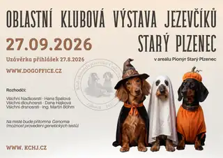 Oblastní klubová výstava jezevčíků