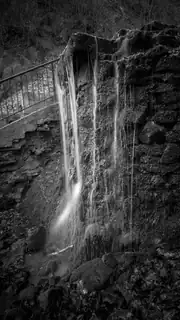 Along (Stříbrnický Stream) - Guided Walk Through Bertin Valley with Martin Krsek