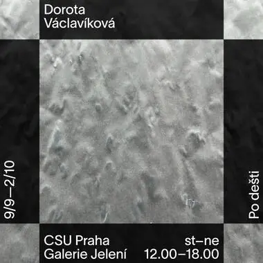 Rozhovory o reprodukcích III/IV Skutečný obraz — Centrum pro současné umění Praha, Praha