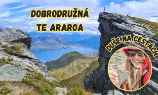 Abenteuer Te Araroa - Das Beste aus Neuseeland