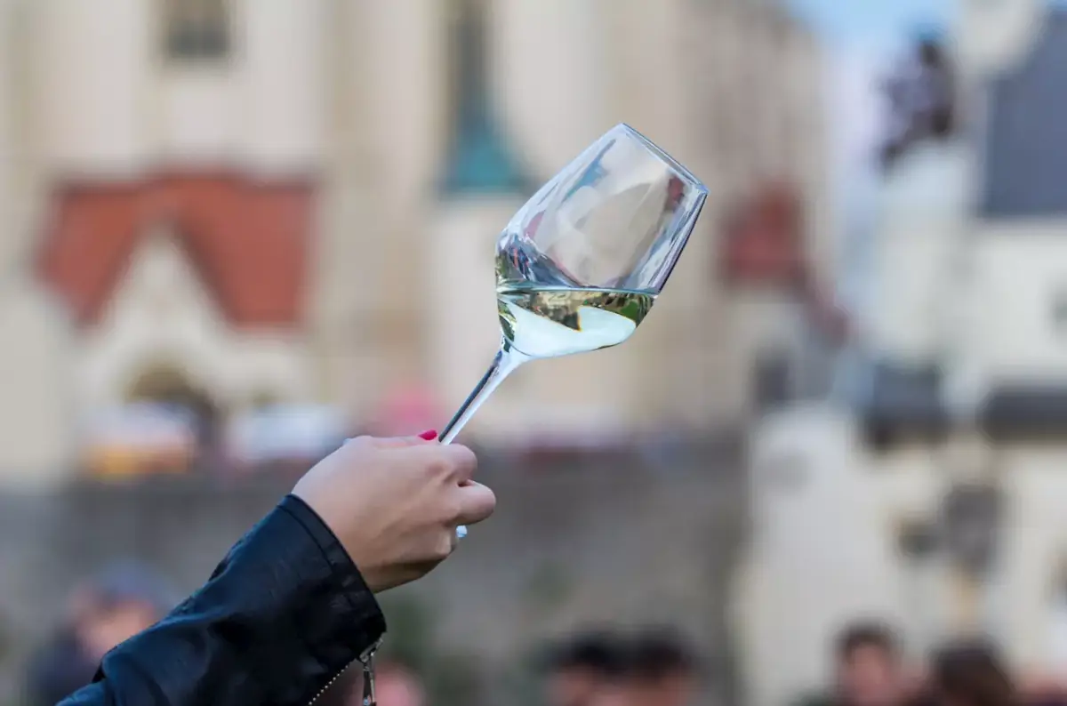 Ochutnávka vín VOC Znojmo u rotundy sv. Kateřiny — Znojemský hrad u rotundy sv. Kateřiny, Znojmo