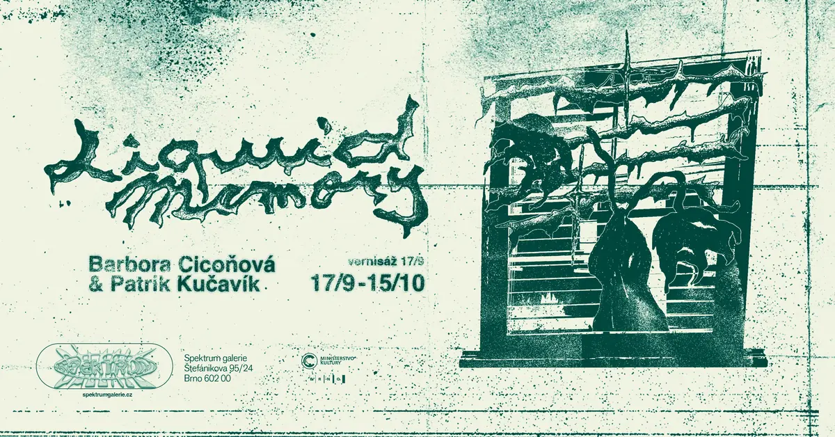 Barbora Cicoňová, Patrik Kučavík - Liquid Memory — Spektrum Gallery, Brno