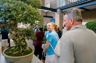 Bonsai and Art in Luhačovice 2026