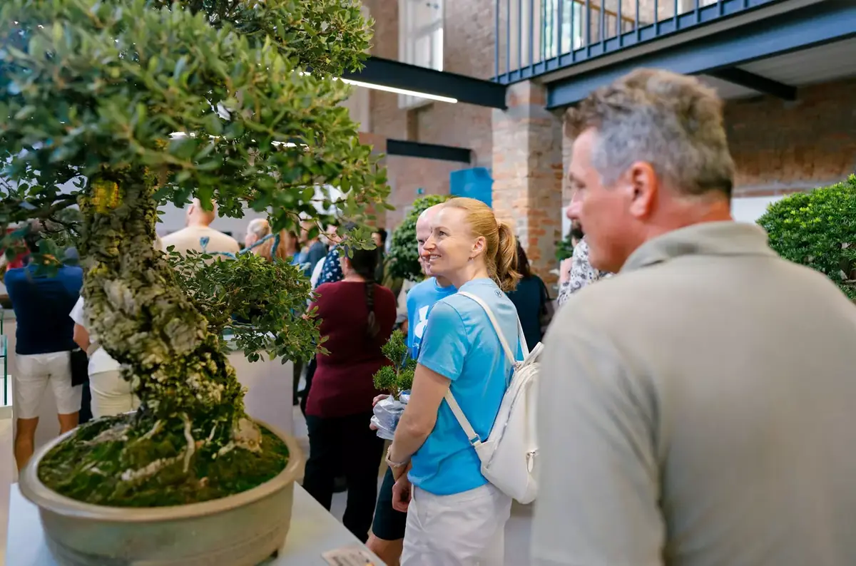 Bonsai and Art in Luhačovice 2026 — Sluneční lázně, Luhačovice