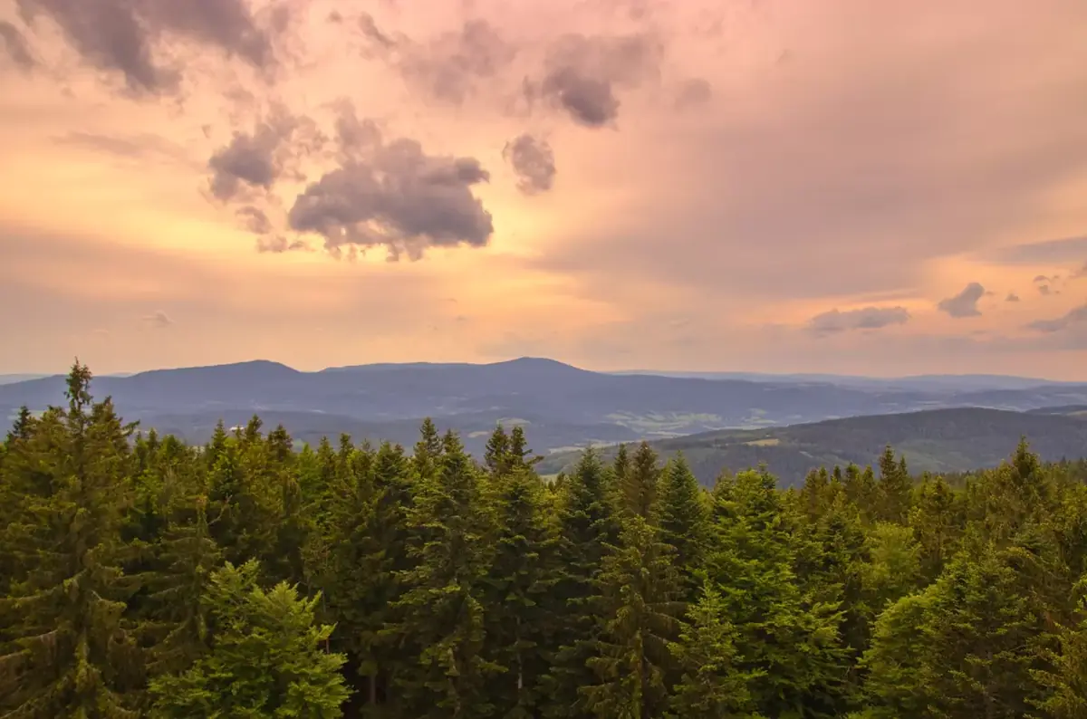 Den strážců přírody v Národním parku Šumava 2026 — Národní park Šumava, Stožec