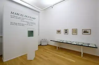 The Captivating Beauty of Eternal Pages at the House of Art in Ostrava