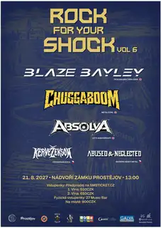 Rock For Your Shock Vol.6