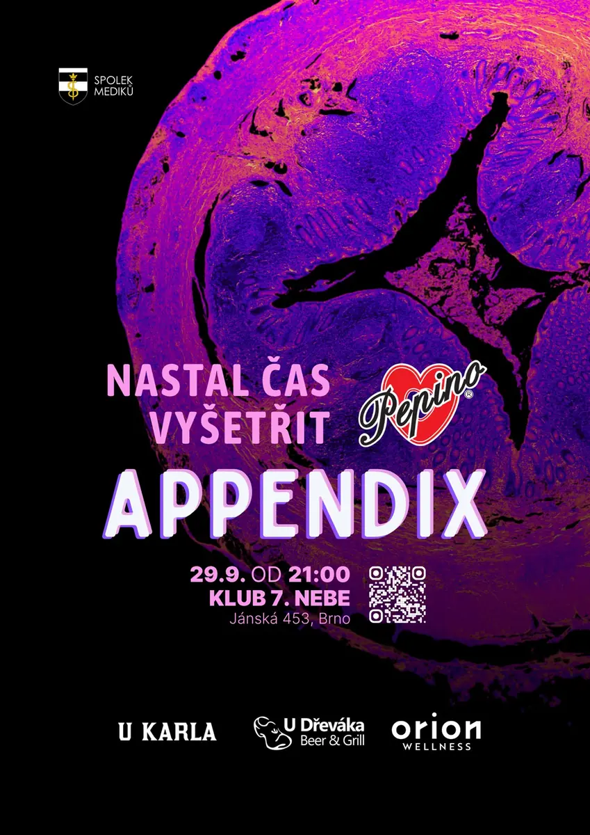 Appendix 2026 — 7. Nebe Music club, Brno