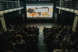 International Road Movie Festival 2026