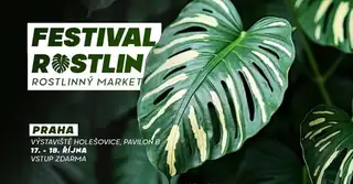 Plant Festival in Prague - Big Plant Market at Great Prices