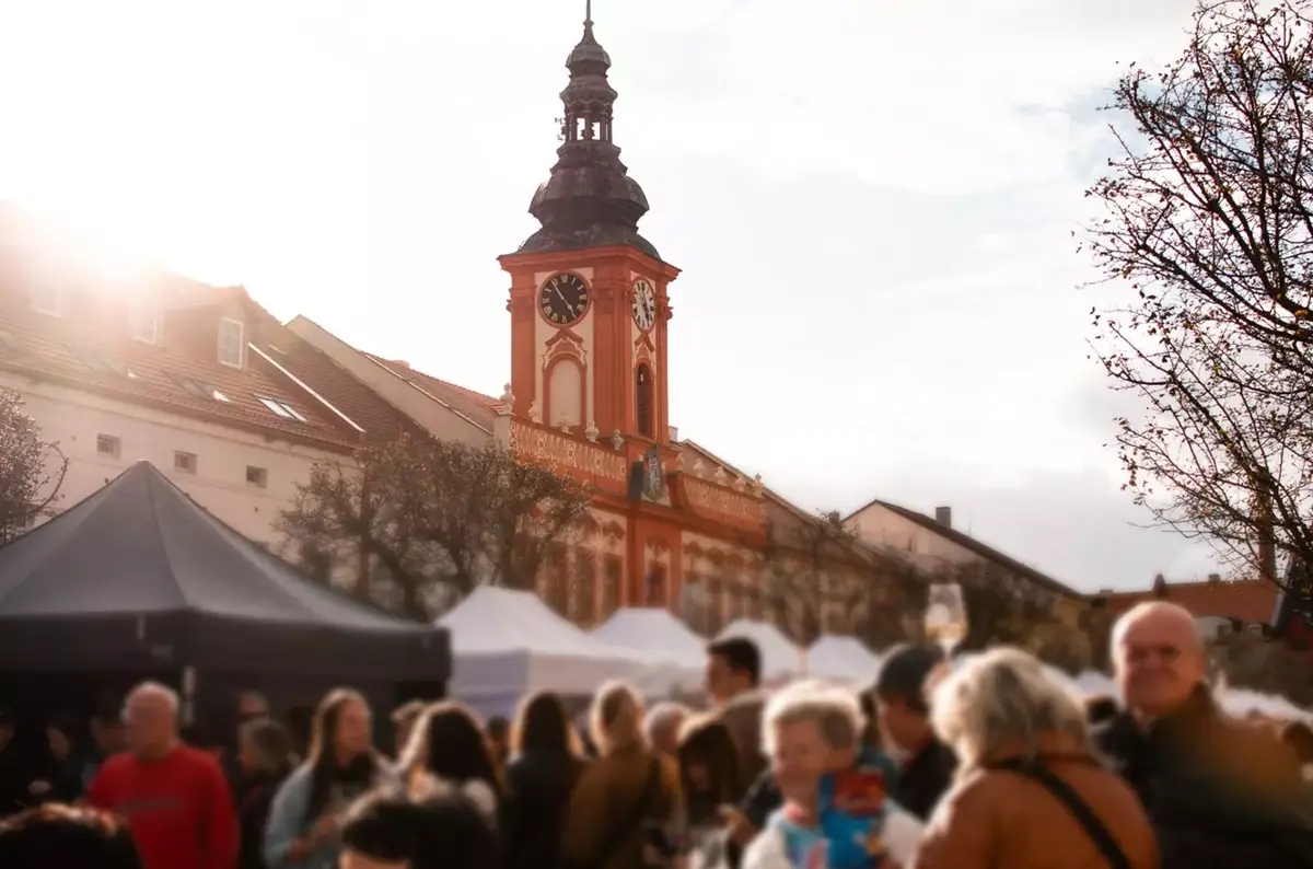 Rakovník Wine Festival 2026 — Trhy Aleš, spol. s r.o., Rakovník