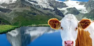 Martin Loew: Švýcarsko