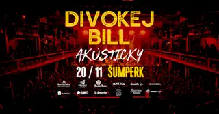 Divoký Bill