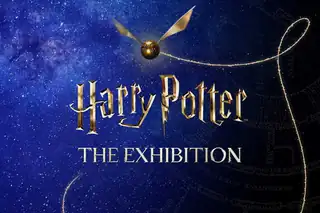Harry Potter: Die Ausstellung – FLEXI