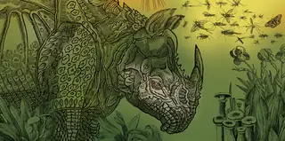 Historia naturalis