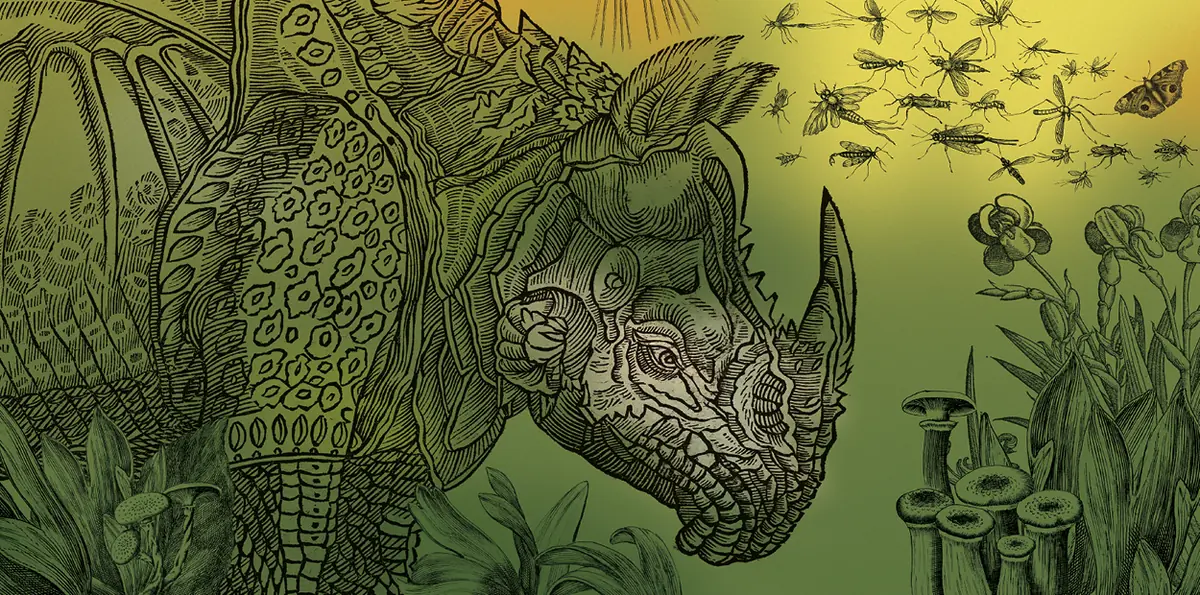 Historia naturalis — Klementinum, Praha