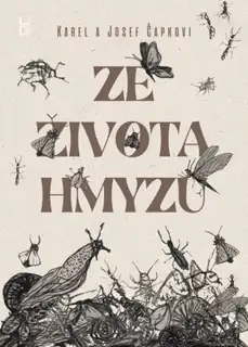 The Insect Play