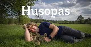 Husopas