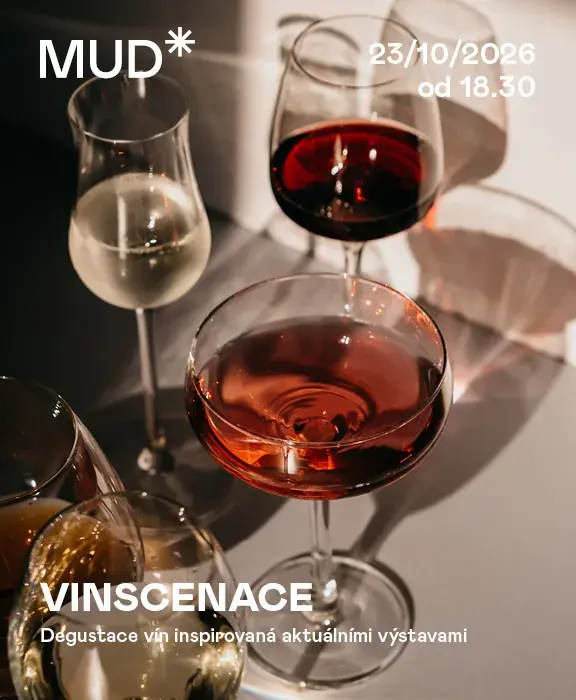 Degustace vín s komentovkou — Muzeum umění a designu Benešov, Benešov u Prahy