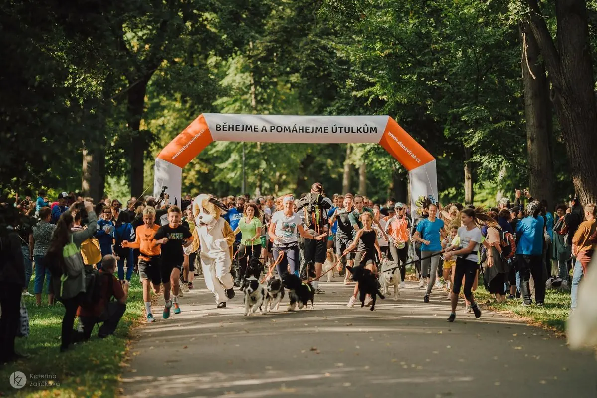 13th Annual Run and Walk for Shelters in Prague — výstaviště praha, holešovice, Prague