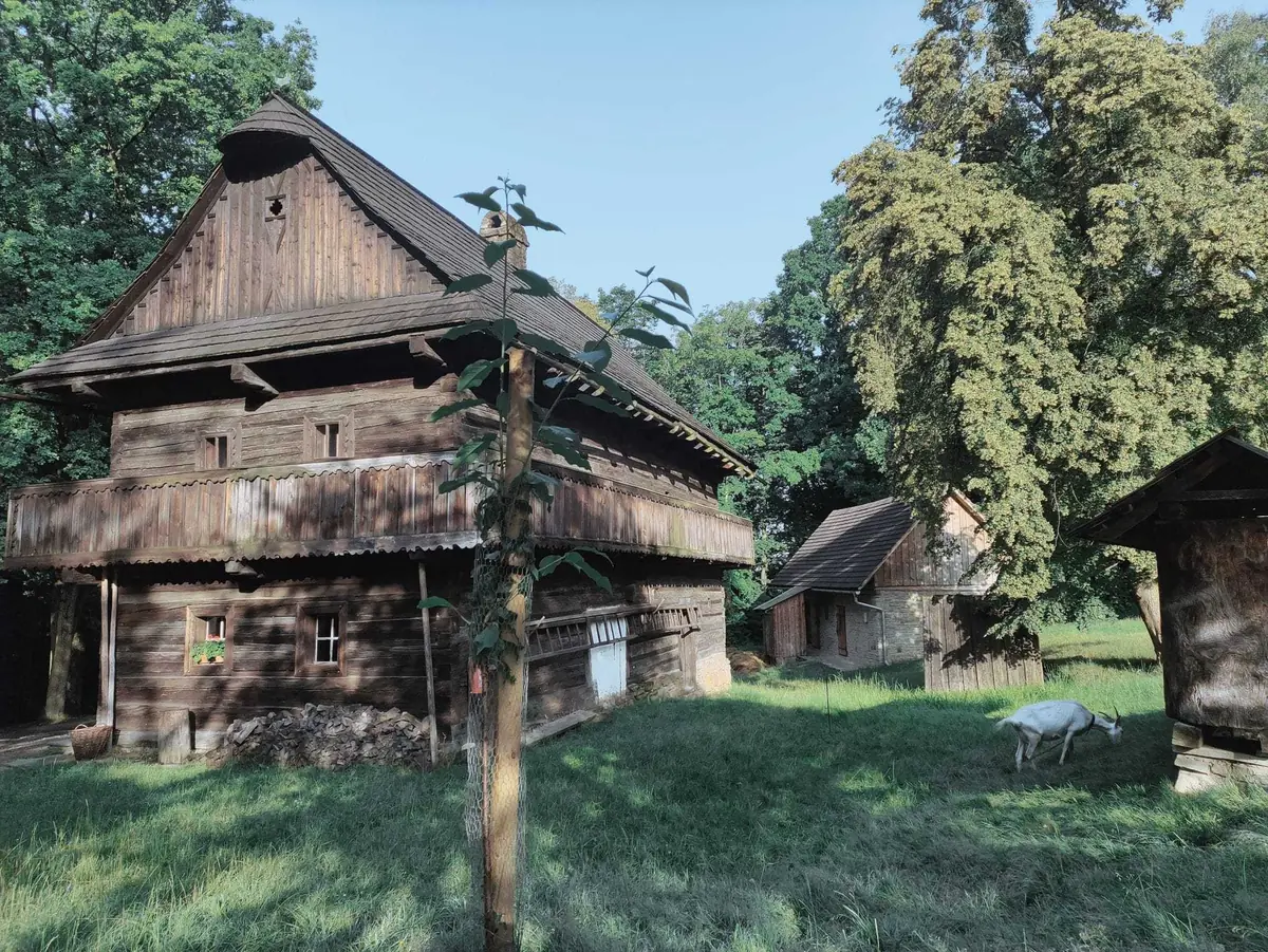 Den Architektury: Rožnov pod Radhoštěm – Kdysi v nich bydleli, ale jak se s nimi popasovat dnes? — Valašské muzeum v přírodě, Rožnov po Radhoštěm