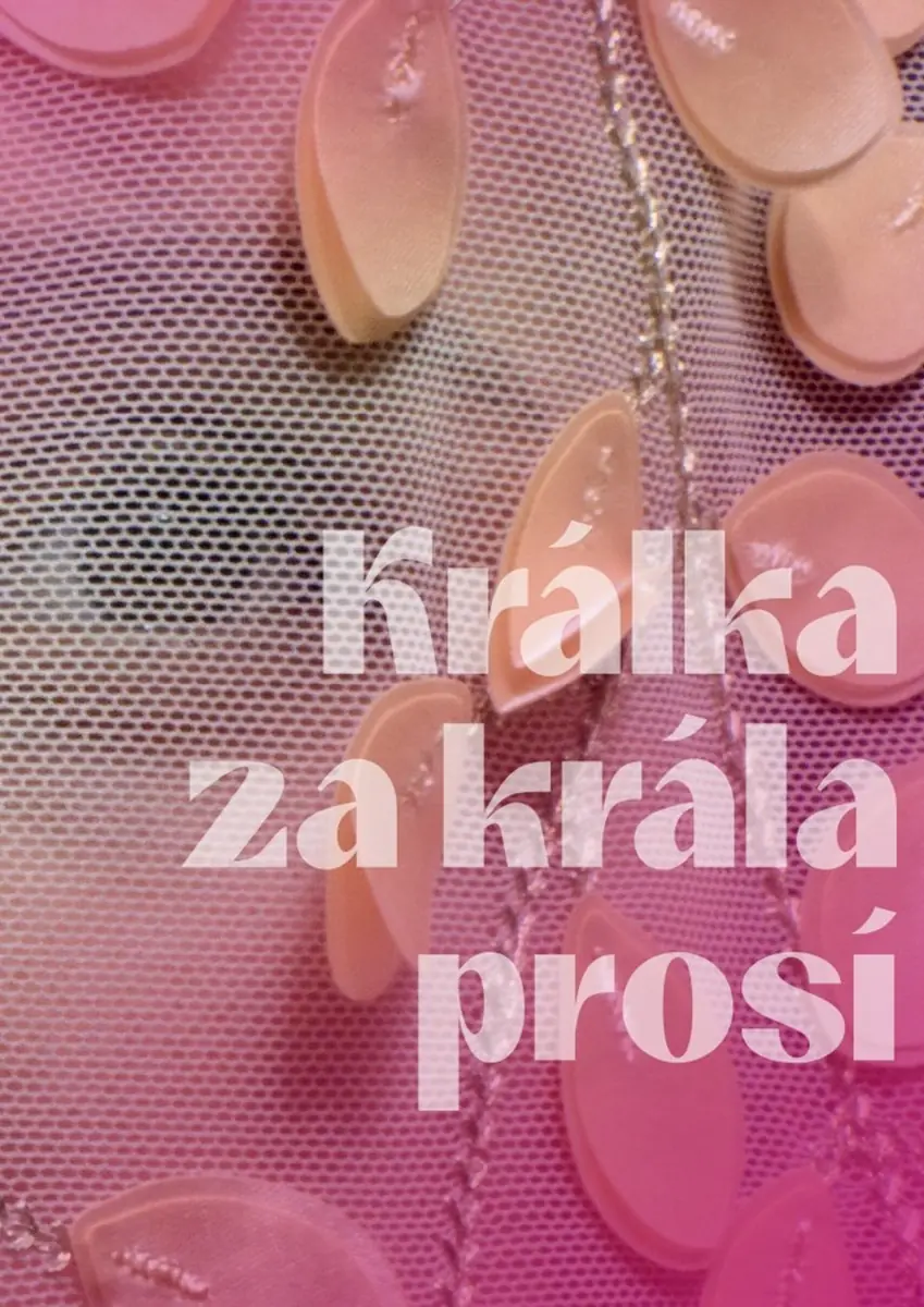 Dance Ensemble HRADIŠŤAN, CM Smetanka: "Králka za krála prosí" — Co.Labs, Brno