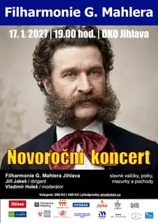 Novoroční koncert
