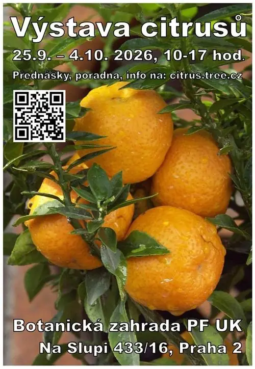 Přednáška: Citrusové plody Thajska a zvláštnosti jejich pěstování v Jihovýchodní Asii — Botanická zahrada Přírodovědecké fakulty Univerzity Karlovy, Praha