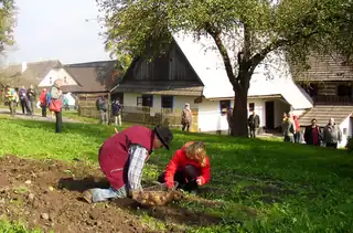 Bramborová sobota na Veselém Kopci 2026