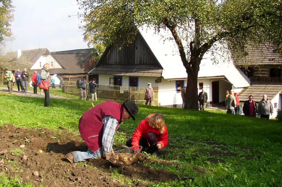 Bramborová sobota na Veselém Kopci 2026 — Veselý Kopec, Hlinsko
