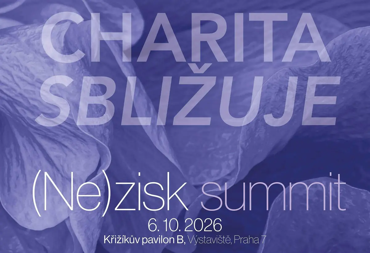 (Ne)zisk summit — Křižíkovy pavilony, Praha