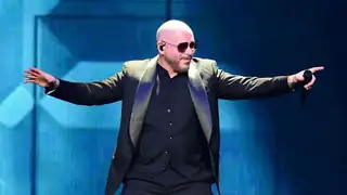 Pitbull