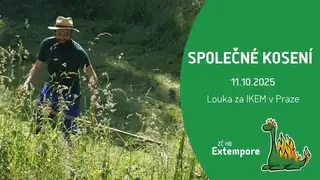 Podzimní společné pražské kosení