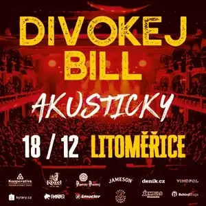 Divokej Bill